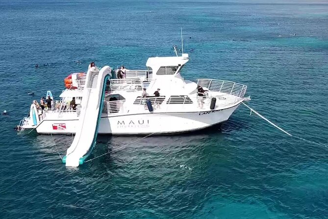 Small Group Coral Gardens Snorkel & Waterslide Adventure - Whale spotting while you’re underway (and what season to plan)