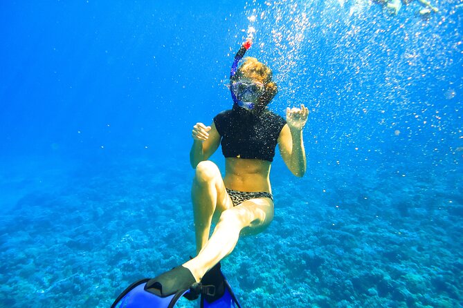 Small Group Coral Gardens Snorkel & Waterslide Adventure - What’s included for $130.95: lunch, sunscreen, soda, and more
