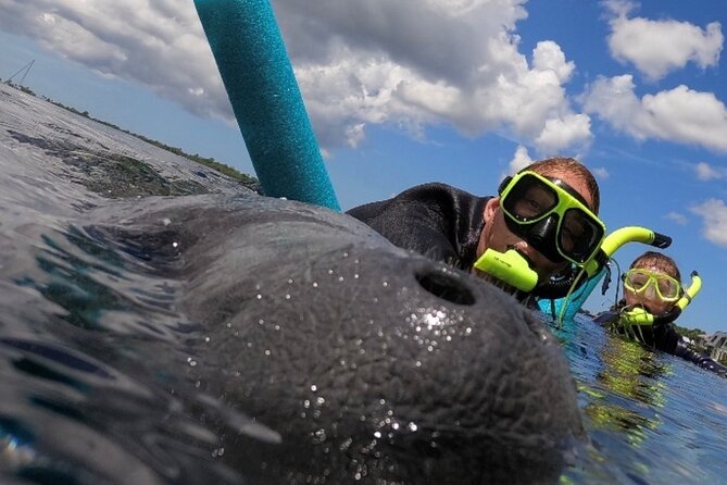 Small Group Manatee Snorkel Tour with In-Water Guide and Photographer - Crystal River Manatees: why this is a special kind of snorkel