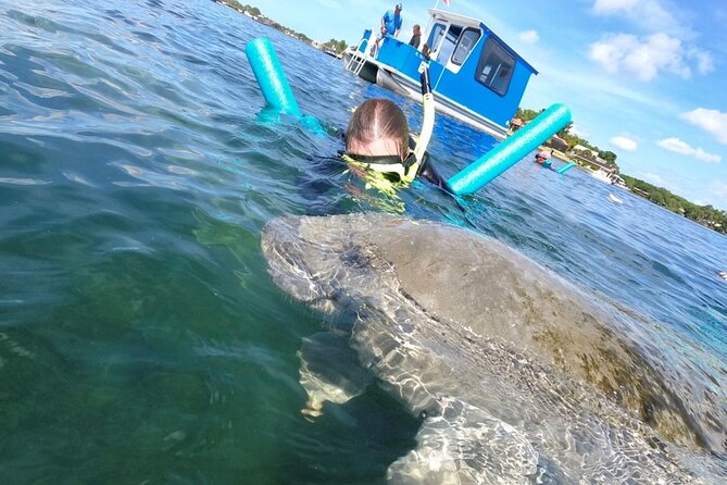 Small Group Manatee Snorkel Tour with In-Water Guide and Photographer - In-water guide + photographer: what the two-person team actually adds
