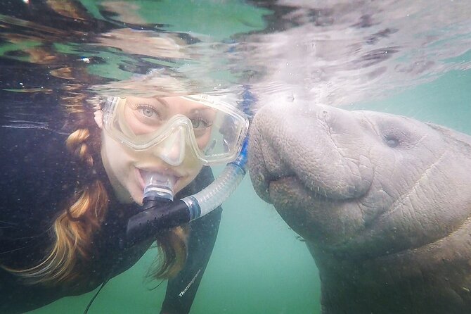 Small Group Manatee Snorkel Tour with In-Water Guide and Photographer - Getting set up: Salty Siren check-in, wetsuit fit, and warm comfort