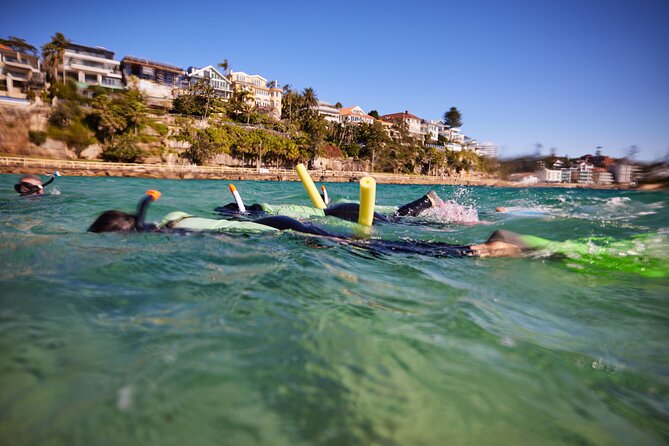 Small Group Manly Snorkel Tour and Nature Walk with Local Guide - Swim test and gear check: how the tour keeps snorkeling manageable