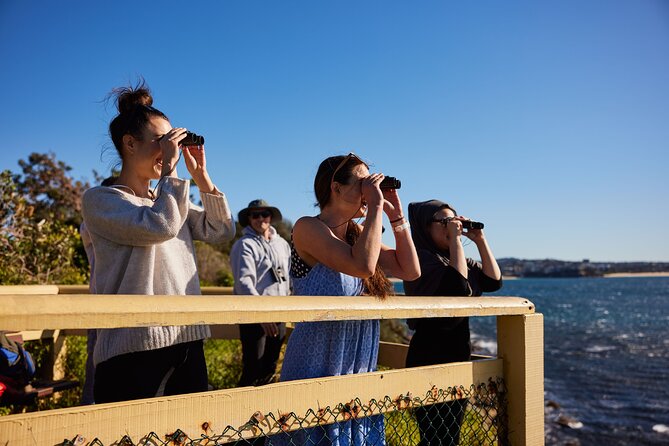 Small Group Manly Snorkel Tour and Nature Walk with Local Guide - Shore snorkeling at Shelly Beach and Manly: what you might actually see
