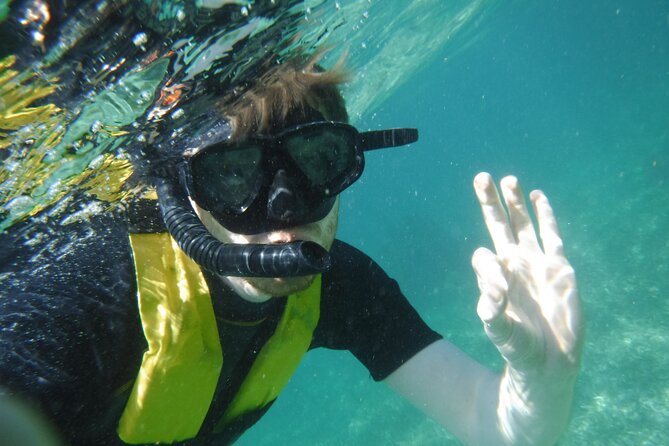 Small-Group Mesoamerican Barrier Reef Snorkeling in Puerto Morelos - What’s Included (and Why It’s Great Value at $45)