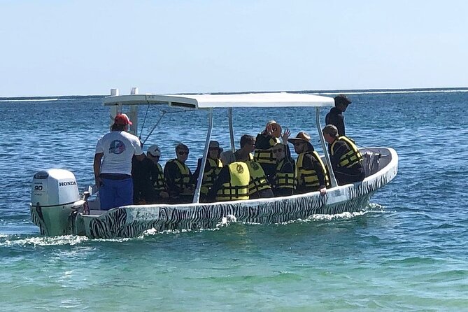 Small-Group Mesoamerican Barrier Reef Snorkeling in Puerto Morelos - Getting There: Meeting Point in Puerto Morelos (No Hotel Pickup)