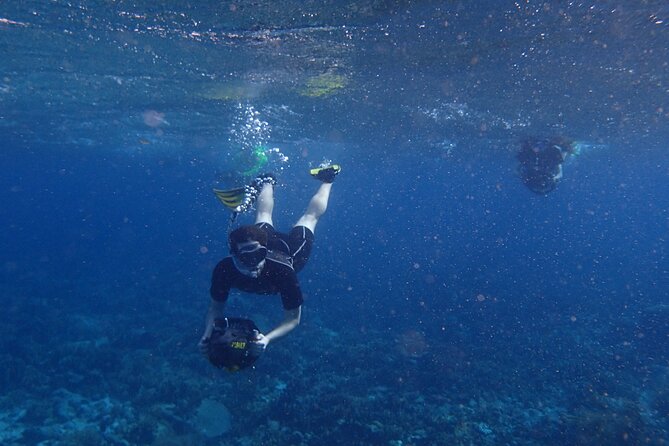Small-Group Sea Scooters Snorkel at Mangel Halto Beach in Aruba - Solar sea scooters: fun, efficient, and still real snorkeling