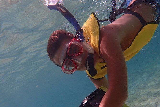 Small-Group Sea Scooters Snorkel at Mangel Halto Beach in Aruba - Who this sea scooter snorkel is best for