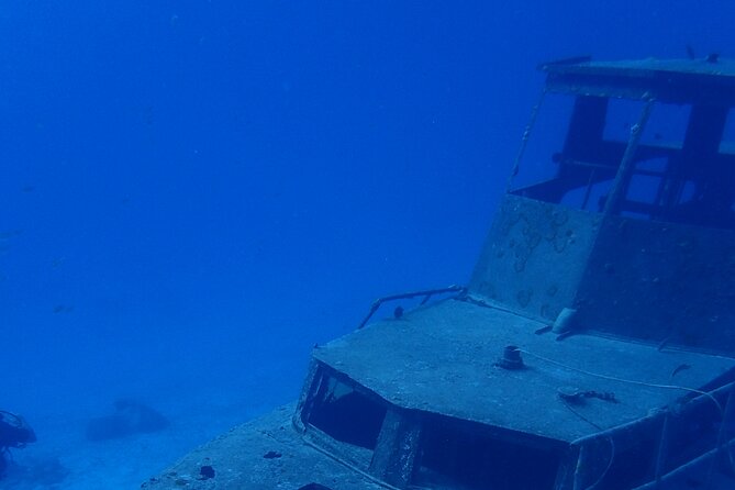 Small-Group Sea Scooters Snorkel at Mangel Halto Beach in Aruba - Price and value: why $100 can make sense here