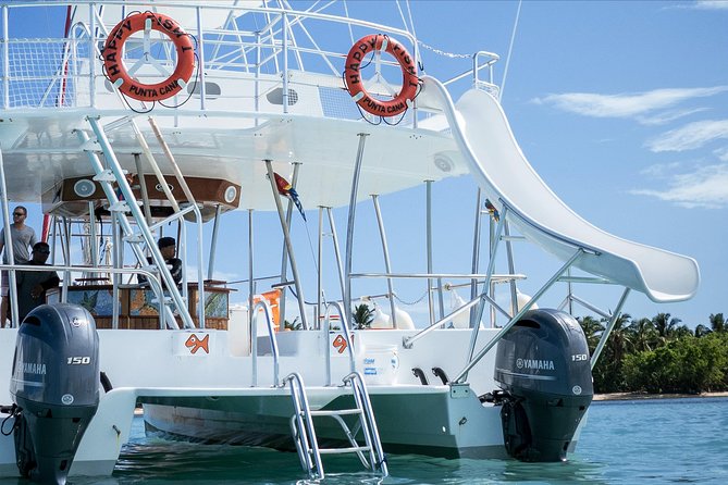 Small Group Snorkeling Cruise with Open Bar and Light Snacks - Who should book this tour, and who should think twice