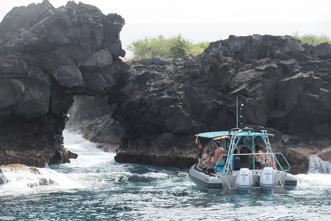 Small Group Snorkeling Expedition South Kona - Wildlife you might spot (and what to do when you do)