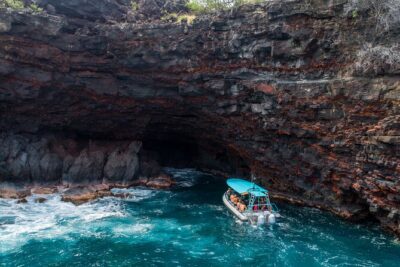 Small Group Snorkeling Expedition South Kona - The three snorkel stops, what to look for, and where the magic tends to happen