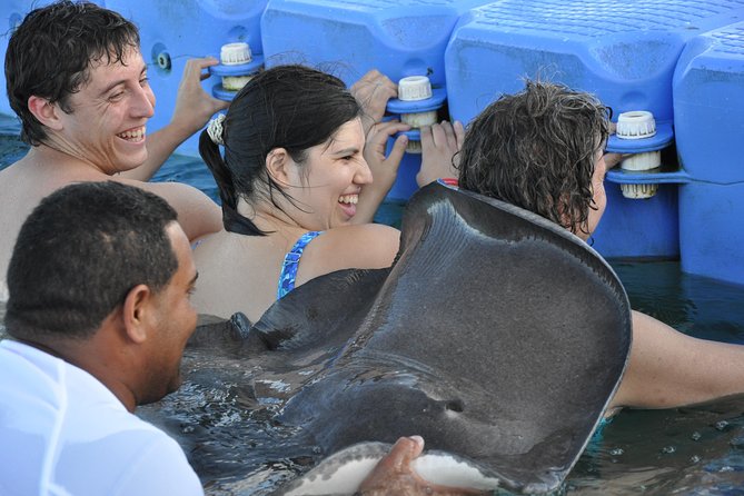 Small Group Snorkeling, Sharks & Stingrays Encounter by boat - Who Should Book This Tour (And Who Might Want Another Option)
