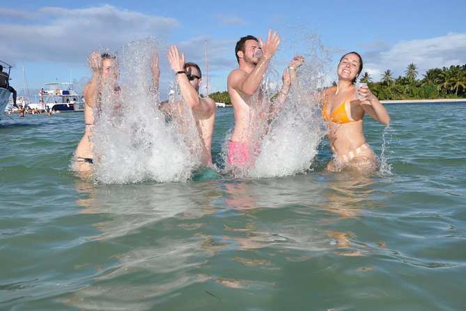 Small Group Snorkeling, Sharks & Stingrays Encounter by boat - Should You Book This Sharks And Stingrays Glass-Bottom Boat Tour?
