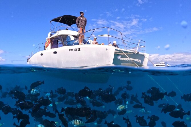 Small Group Turtle Canyon Snorkel in Waikiki (Boat Tour) - Key takeaways before you go