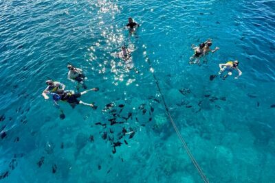 Small Group Turtle Canyon Snorkel in Waikiki (Boat Tour) - Small-group Catamaran Comfort (and why it matters in practice)