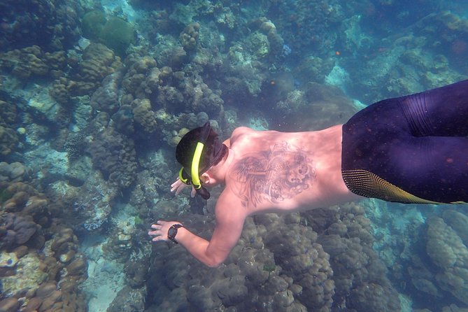Snorkel Adventure Sea Tour to Koh Rok and Koh Haa from Koh Lanta - Koh Rok in Mu Ko Lanta National Park: multiple reef stops, real beach time