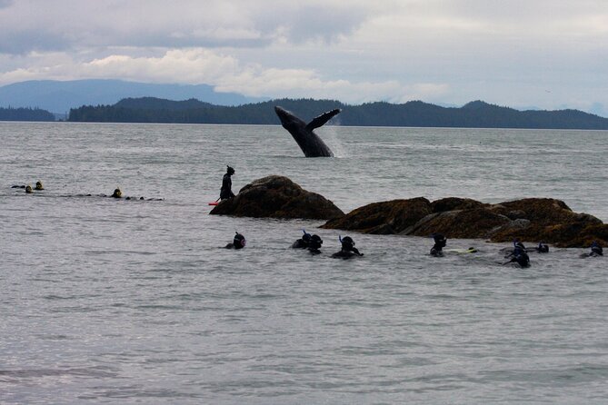 Snorkel Alaska - What actually happens on the water (and how instruction helps beginners)