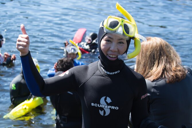 Snorkel Alaska - Warmth, rain, and the wetsuit reality check