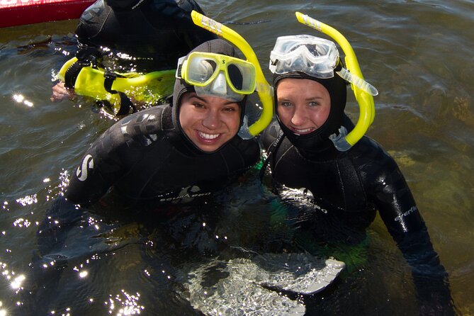 Snorkel Alaska - Price and value: where your $209.99 goes