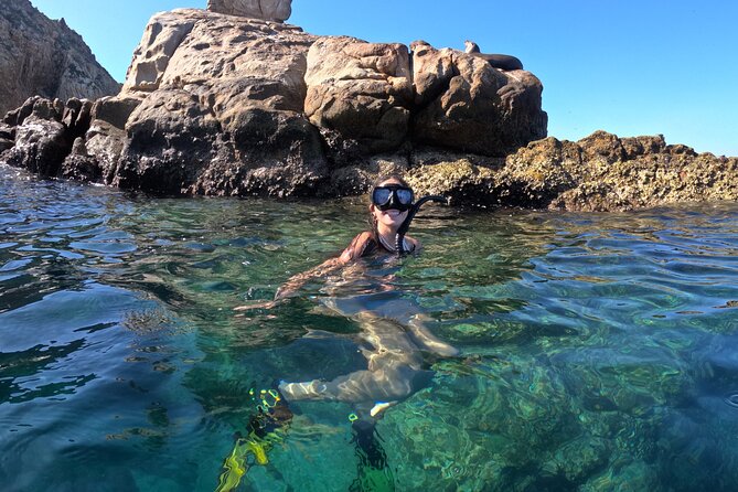Snorkel and arch tour in los cabos - El Arco: The Iconic Arch, Photo Time, and Sea Lions From the Best Angle