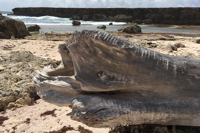 Snorkel and Beach Adventure Tour - Shete Boka National Park: Caves, Blowholes, and Big North Shore Views