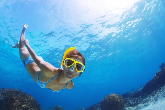 Snorkel and Beach Adventure Tour - The Open-Top 4x4 Ride: Views, Timing, and Comfort Reality