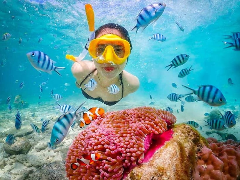 Snorkel & Chill: Nemo Island Trip from Pattaya - Nemo Island from Pattaya: what you’re really paying for