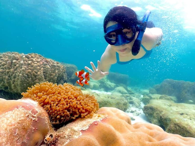 Snorkel & Chill: Nemo Island Trip from Pattaya - Sattahip snorkeling: how the 3 hours on the water are organized