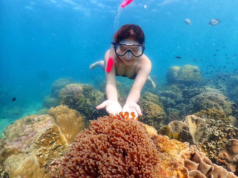 Snorkel & Chill: Nemo Island Trip from Pattaya - Equipment and safety: small details that make a difference