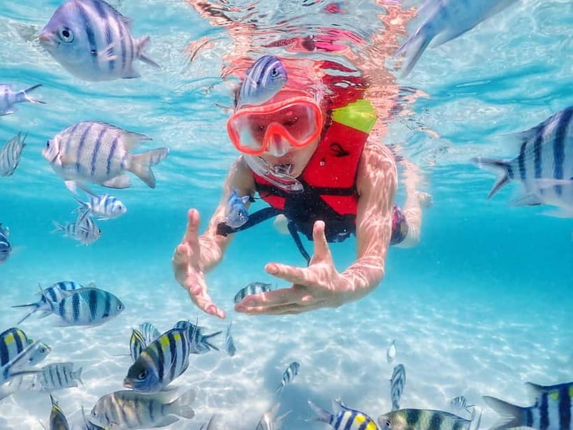 Snorkel & Chill: Nemo Island Trip from Pattaya - Lunch and snacks: plan around what’s not included