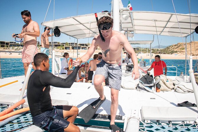 Snorkel Cruise in Los Cabos - Whale watching in season: what you can realistically expect