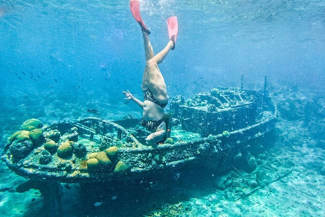 Snorkel Cruise with BBQ Lunch and Open Bar - Where You Start: 407 Caracasbaaiweg, Willemstad