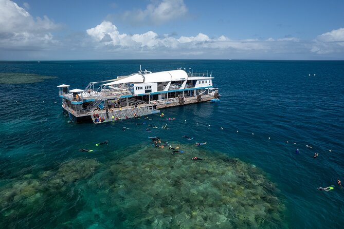 Snorkel & Dive the Reef: Sustainable, Scientific & Cultural Tour - Key Points Worth Knowing Before You Go