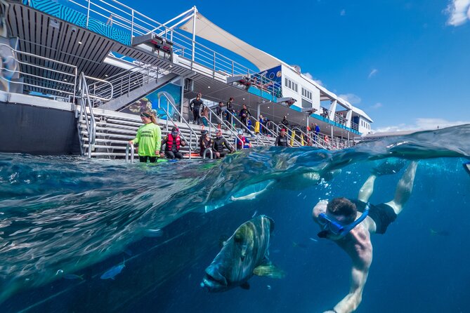 Snorkel & Dive the Reef: Sustainable, Scientific & Cultural Tour - Marine World Platform: Your Base Above the Reef