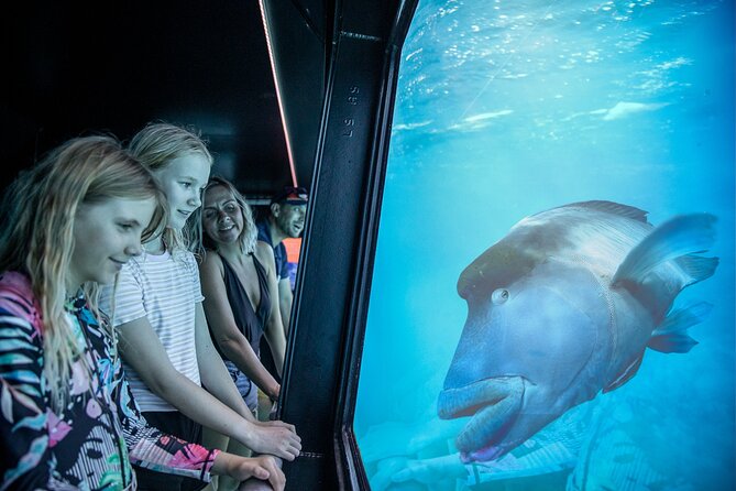 Snorkel & Dive the Reef: Sustainable, Scientific & Cultural Tour - Sea-Sickness Reality Check and How to Prep Smart