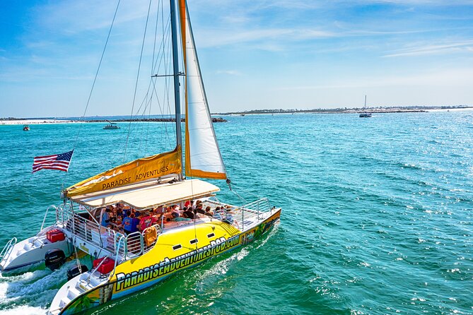 Snorkel & Dolphin Sightseeing Tour Aboard the Footloose - Key Highlights Before You Go