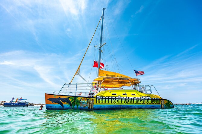 Snorkel & Dolphin Sightseeing Tour Aboard the Footloose - Dolphin Spotting in the Gulf: How the Hunt Works and Why It’s Still Worth It