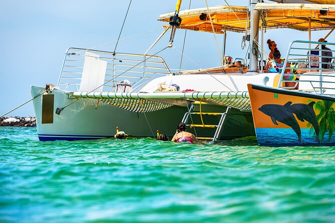 Snorkel & Dolphin Sightseeing Tour Aboard the Footloose - Who This Tour Suits Best (and Who Might Want to Rethink It)