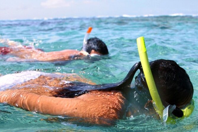 Snorkel & Dolphin Sightseeing Tour Aboard the Footloose - Tips to Make It Go Smoothly (Practical, Not Overthinking)