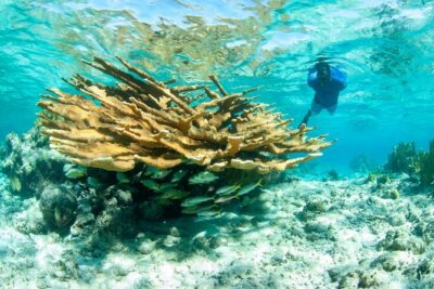 Snorkel Eco Tour - From Marina Road to the water: how the tour starts