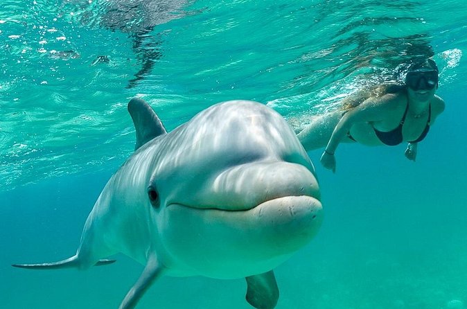 Snorkel Eco Tour - Crew energy: why names keep coming up
