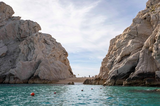Snorkel & Explore Pelican Rock by Glass Boat + Photos - Pelican Rock snorkeling: your guided hour in a real marine sanctuary