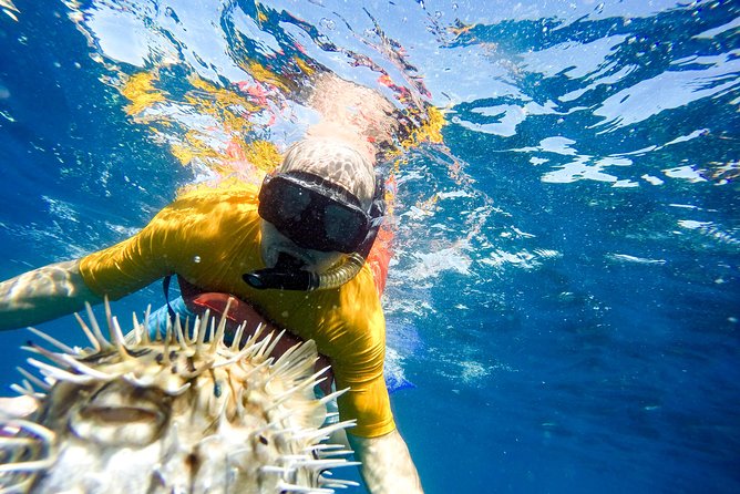 Snorkel & Explore Pelican Rock by Glass Boat + Photos - Who helps you in the water: guides, safety, and photo focus
