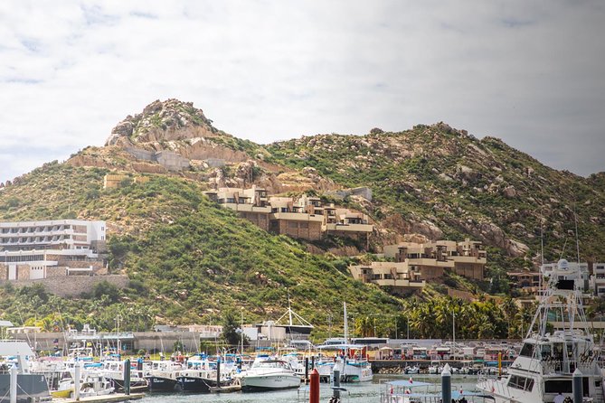 Snorkel & Explore Pelican Rock by Glass Boat + Photos - Price and value check: why $125 works for some people