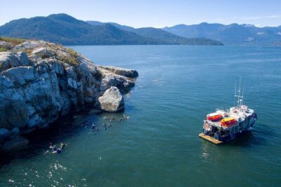 Snorkel, Kayak, and Seal Adventure: Vancouver Boat Tour - Wet suits and snorkel gear: no experience needed, but you must be ready