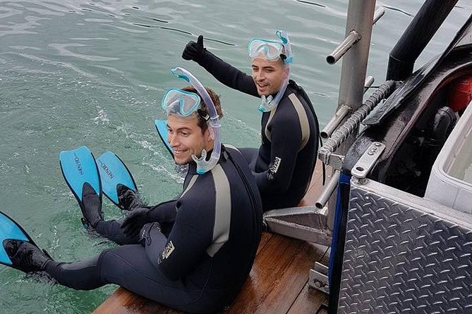 Snorkel, Kayak, and Seal Adventure: Vancouver Boat Tour - Sightseeing only: when you want the views without the water time