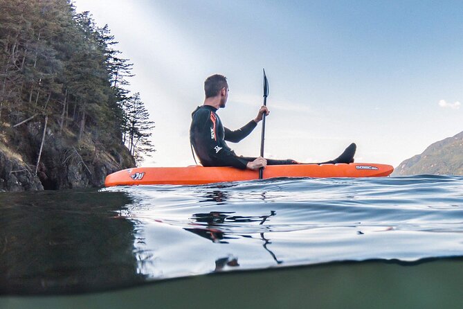 Snorkel, Kayak, and Seal Adventure: Vancouver Boat Tour - Who should book this seal adventure in Vancouver