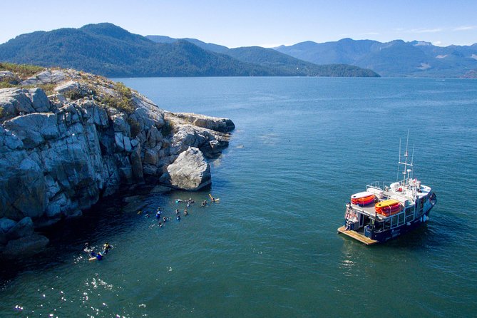Snorkel, Kayak, and Seal Adventure: Vancouver Boat Tour - Wet suits and snorkel gear: no experience needed, but you must be ready