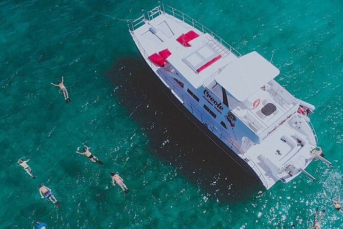 Snorkel - Lobster Lunch Cruise to Bird Island and Paradise Reef - Key Highlights Before You Go