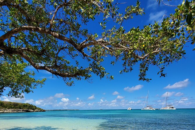 Snorkel - Lobster Lunch Cruise to Bird Island and Paradise Reef - The Boat Ride, Rum Punch, and Timing Your Energy